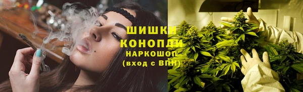 трава Алексин