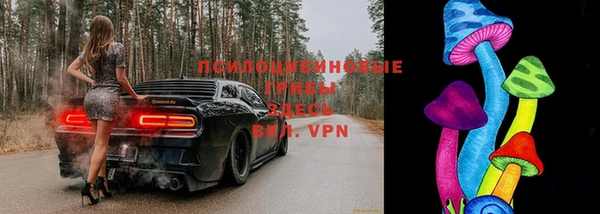 ECSTASY Алексеевка