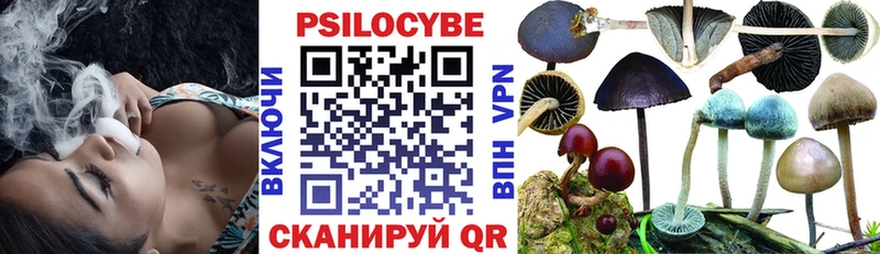 где купить   MEGA tor  Галлюциногенные грибы мухоморы  Пошехонье 